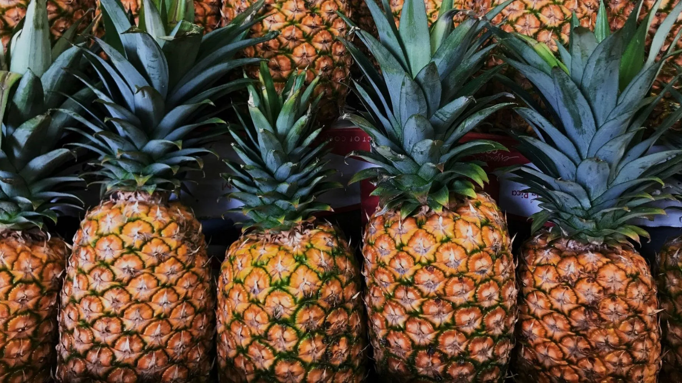 Pineapple Export
